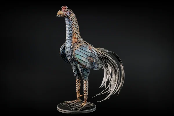 Chicken