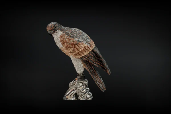 Solitary Eagle