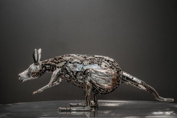 Kangaroo